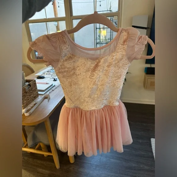 Pink Velvet Bloch Ballet Tutu - Picture 2 of 5